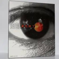 本物のTao Zhe Black Liuding CD アメリカのカードレコード Xingyun オーディオとビデオ