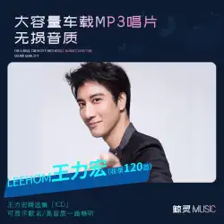 Wang Leehom アルバム純正車 CD ディスク MP3 大容量車クラシックポップソング音楽ディスク