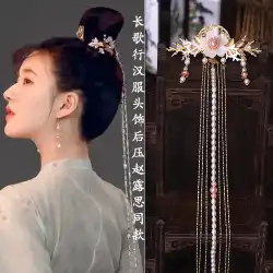 Long Song Xing Zhao Lusi と同じスタイルの漢服バックプレスヘアアクセサリータッセルステップシェイクバックコームインサートコーム古代スタイルの頭飾りヘアピンアクセサリー