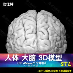 人間の生物学的臓器脳 3D モデル脳端脳ダイ脳 3D 印刷図面手作り ZB モデル STL