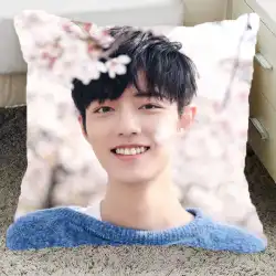 Xiao Zhanの周りの枕X Nine Youth Leagueの枕カバーは一生同じスタイルです、魏無羨の枕を作るためにもっとアドバイスをお願いします