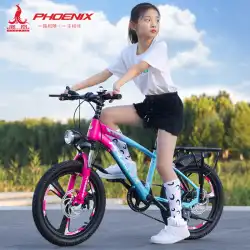 フェニックス 子供用自転車 6-14歳 女の子 ビッグボーイ 男の子 マウンテンディスクブレーキ 変速小学生 20インチ自転車
