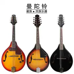 西洋楽器 8弦マンドリン エレクトロアコースティック マンドリン ギター 秦 民族楽器 チベットマンドリン