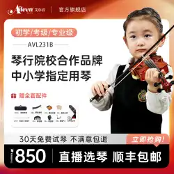 Aieryin バイオリン子供用特別な手作り無垢材初心者専門受験生エントリーバイオリン楽器