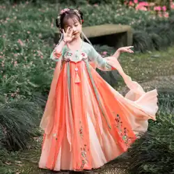韓服の女性の中国風の古代衣装夏薄部スーパー妖精子供のスカート春と秋の少女 2022 花神のドレス