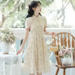 チャイナ韓服改良花柄ドレス婦人服夏 2023 新しい女の子新しい中国風のスカート若いモデル