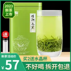Tuan Huang Xinyang Maojian 2023 新春茶最上級の Majian 茶芽雨前バルク 250 グラム緑茶芽茶