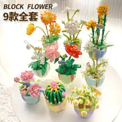 組み立てられたビルディングブロックブーケガールシリーズ多肉植物鉢植え装飾女の子の誕生日プレゼント花日記植物