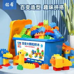 2023 新しい子供用レゴ大粒子ビルディングブロック組み立ておもちゃパズル 6 歳の女の子と男の子 3 大きなシリーズ