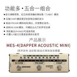 Valeton Dapper Acoustic Mini ミニアコースティックギター兼用エフェクター MES-4