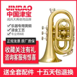 Jinbao パームナンバーポータブル初心者プレーヤー B フラットポケットコルネット金管楽器 JBMT-500 新製品
