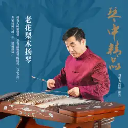 Lehai 陽琴楽器ビッグフルーツ紫檀ウッドシェル彫刻蓮模様プロのパフォーマンスレベル 402 陽琴 623L