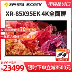 SONY/ソニー XR-85X95EK 85型ミニLED TVカメラ 公式フラッグシップストア 1727