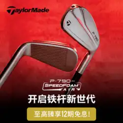 テーラーメイド Taylor May ゴルフクラブ メンズ 新品 P790 アイアン ツアーゴルフアイアン