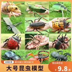シミュレーション昆虫おもちゃアリモデルサソリクモてんとう虫バッタトンボ子供科学教育認知ギフト教育