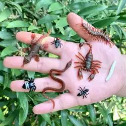 ミニヘビクモアリフライサソリ幼稚園子供のおもちゃ静的シミュレーション昆虫動物モデル飾り