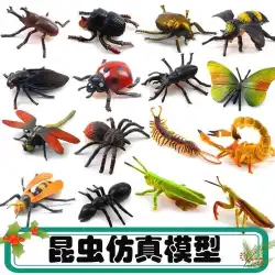 シミュレーション昆虫おもちゃ大型モデルセット誕生日ギフト蝶トンボコガネムシ幼稚園教育セット