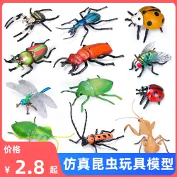 シミュレーション昆虫モデルのおもちゃ固体動物ハエクモカブトムシカマキリシールドカメムシドラゴンシラミ子供科学と教育ギフト