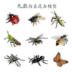 幼児子供用シミュレーション昆虫モデル動物おもちゃ蜂蝶イナゴカマキリセブンスターてんとう虫ギフト