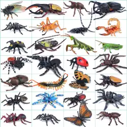子供のシミュレーション昆虫モデル動物のおもちゃ蜂孤独な角蝶バッタカマキリ七つ星てんとう虫ギフト