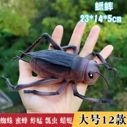 大型子供のおもちゃシミュレーション動物昆虫モデル装飾クリケットてんとう虫クモサソリバグ少年プラスチック
