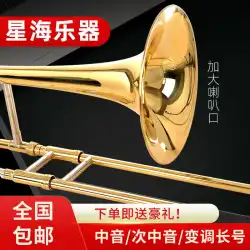 Xinghai トロンボーン楽器プルパイプアルトドロップ BF テナー移調トロンボーンオーケストラ初心者パフォーマンス
