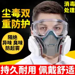ガスマスクフルフェイスマスクスプレーペイント防塵工業用防塵マスク有毒酸素フードフルフェイスマスク装飾