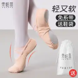 ダンスシューズ女性のソフトボトム子供古典中国バレエ特別な女の子のダンスシューズ練習スキル大人の猫の爪の形