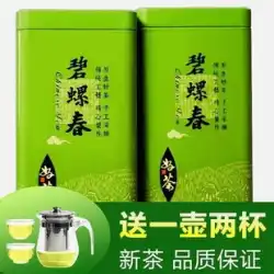 2023 新茶緑茶 Biluochun Yunwu 緑茶 Maojian Mingqian 春茶強い香りバルク缶詰 500 グラム