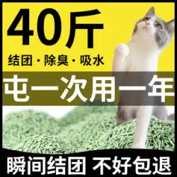 猫砂 豆腐猫砂 20kg 送料無料 消臭 無塵 40斤 10個 活性炭 猫砂 お得パック 水に流せるトイレ