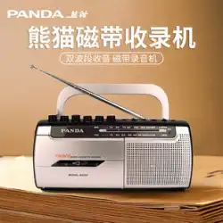 パンダ6500 カセットプレーヤー ウォークマン 懐かしのレコーディングプレーヤー カセット シングルプレイ レトロ オールド 高音質