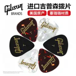 ギターピック ギブソン公式正規品 ギブソンギターピック 単体 破片丸ごと箱