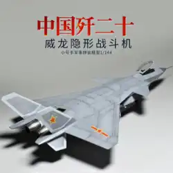 トランペット奏者は中国のJ20戦闘機を組み立てるために航空機モデル1/144 J-20ヴェイロンステルス戦闘機を組み立てた