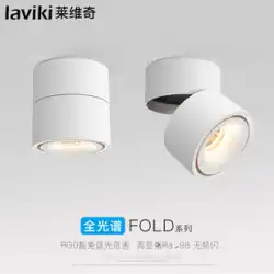 表面実装スポットライト LED 天井ランプ家庭用角度調整可能なショップ商業コブトラックライト小型天井表面実装ダウンライト