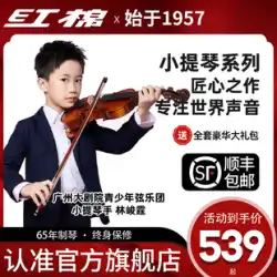 レッドコットン公式フラッグシップバイオリン全無垢材純粋な手作りプロの演奏試験大人子供初心者zh