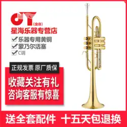Jinyin トランペット楽器高音 C キー専門試験パフォーマンス楽器トランペット JYTR-A660G 楽器先行販売