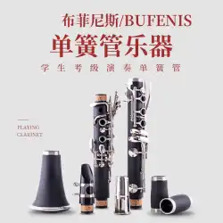 フランス Buffinis B-フラット クラリネット 楽器 クラリネット 初心者 エントリー プロ試験級 演奏 正規品 送料無料
