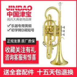 Jinbao コルネット楽器プロプレーヤー真鍮管ボディ B ドロップペイントゴールドコルネット JBCR-900 コルネット楽器