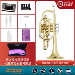 Shufeng 送料無料 Jinbao ブランドコルネット JBCR-900 プロ真鍮管ボディドロップ B ペイントゴールド 3 垂直キーコルネット