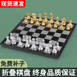 チェス 子供用 磁気チェス駒 大型 小学生 上級トレーニング 競技専用 ポータブルチェス盤セット