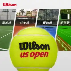 正規品 ウィルソン Wilson テニス 全仏オープン 全米オープン専用 プロゲーム ウィルソン 初心者練習用トレーニングボール
