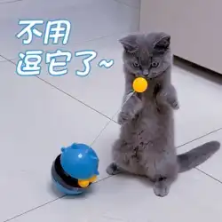 猫のおもちゃボール自己修復退屈アーティファクトタンブラーからかい猫スティック子猫ペット猫のおもちゃ猫用品