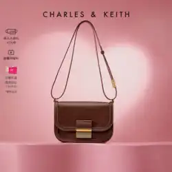 【中華バレンタインギフト】CHARLES&amp;KEITH レディース バッグ CK2-80781400 メタルバックル ショルダー 豆腐バッグ