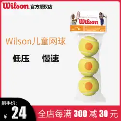 ウィルソン Wilson 子供用 テニス トレーニング ゲームボール ウィルソン 初心者 オレンジボール シングル 練習 おもちゃ