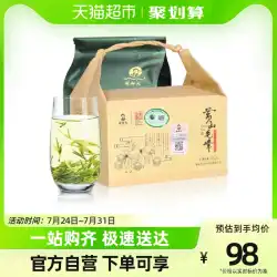 2023年新茶発売Xieyuビッググリーンティー黄山毛峰125gティーバッグ