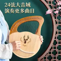 Qiangu 24 弦 Leyaqin 小型ハープ楽器はシンプルで学びやすい konghou 不人気な小型楽器 lilaqin 初心者