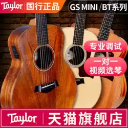 Taylor テイラー ギター GS ミニ アカシア材 コア単板 フォーク トラベル ギター gsmini 男の子と女の子