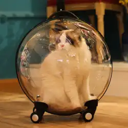猫バッグアウトポータブルトロリーケーススペースカプセル猫バックパックアウトバッグ大容量透明ペット用品アーティファクト