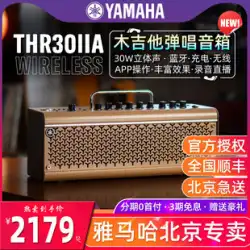 YAMAHA ヤマハ THR10II エレキギター ベース スピーカー THR30IIA WL 歌い充電 ワイヤレス Bluetooth