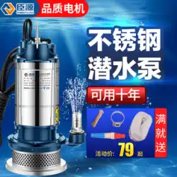 Chenyuan 水中ポンプ 220V 家庭用小型ステンレス鋼井戸水高リフトポンプ農業灌漑下水ポンプ